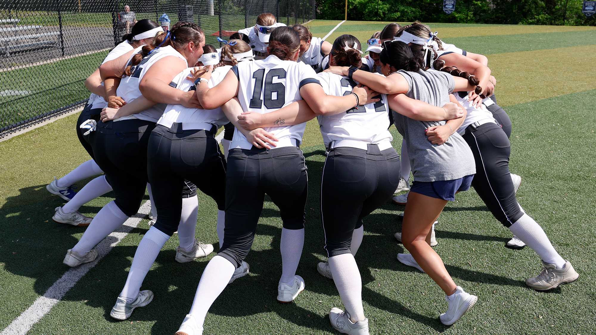 Penn State Brandywine softball team