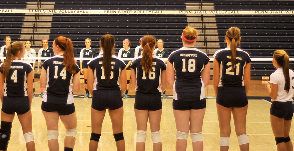 Volleyball Travels To Rosemont In Season Opener