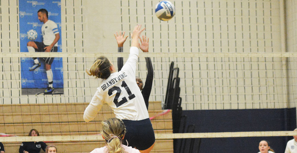 PSUAC Honors 42 Brandywine Fall Student-Athletes For Academics